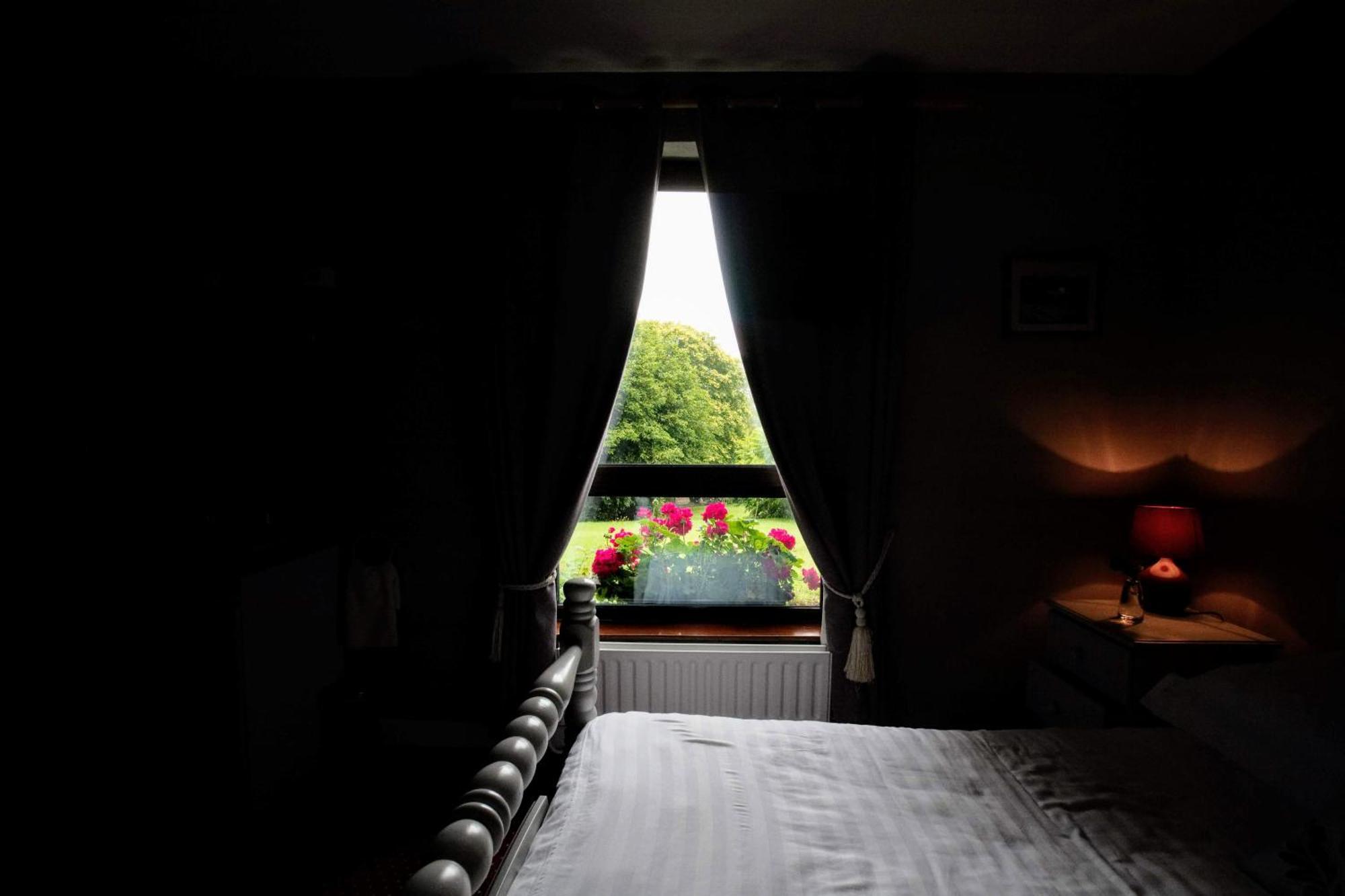 غالواي Abbey View Bed & Breakfast المظهر الخارجي الصورة